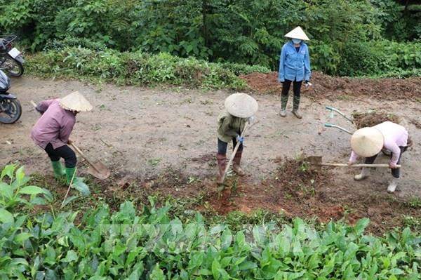 Khởi sắc nông thôn mới ở Tân Uyên