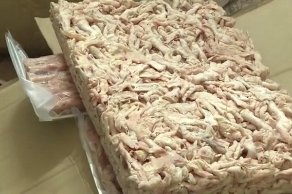 Phát hiện 24 tấn nội tạng lợn nhiễm dịch tả lợn châu Phi