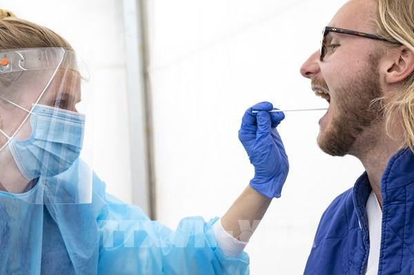 Thêm nghiên cứu về khả năng "trốn" hệ miễn dịch của biến thể Omicron