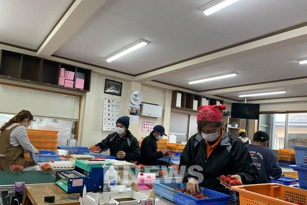 Lao động châu Á tại Nhật Bản - Bài 1: Đông Nam Á – nguồn cung lao động quan trọng