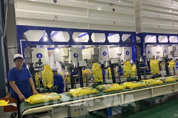 Xây dựng thương hiệu lúa gạo Việt Nam - Bài 1: Tăng giá trị cho hạt gạo