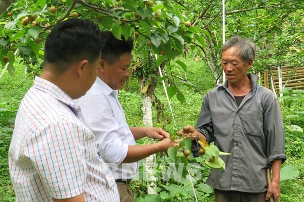 Lào Cai: Nhiều cách làm sáng tạo giúp người dân thoát nghèo