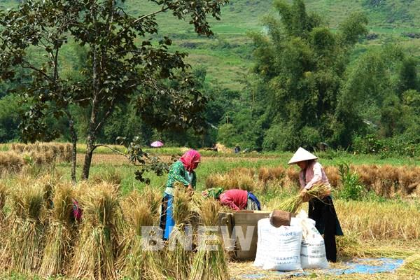 Hoàn thiện chính sách thu hút đầu tư cho vùng đồng bào dân tộc thiểu số