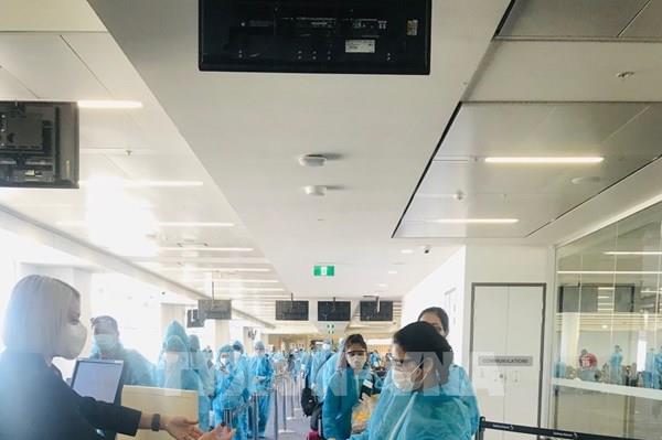 Đưa gần 350 công dân Việt Nam từ Australia và New Zealand về nước