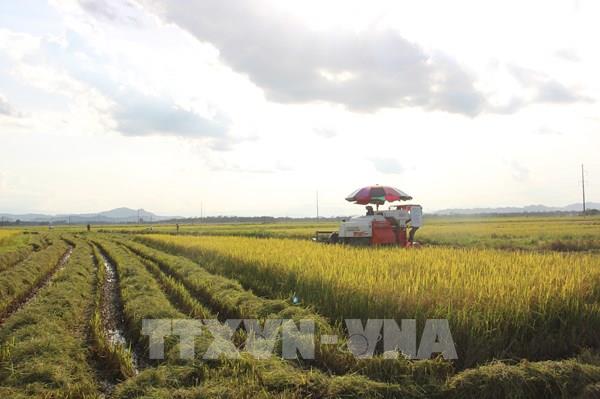 Nông nghiệp là nền tảng, trụ đỡ