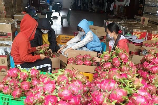 Bình Thuận kết nối tiêu thụ nông sản trong bối cảnh dịch bệnh