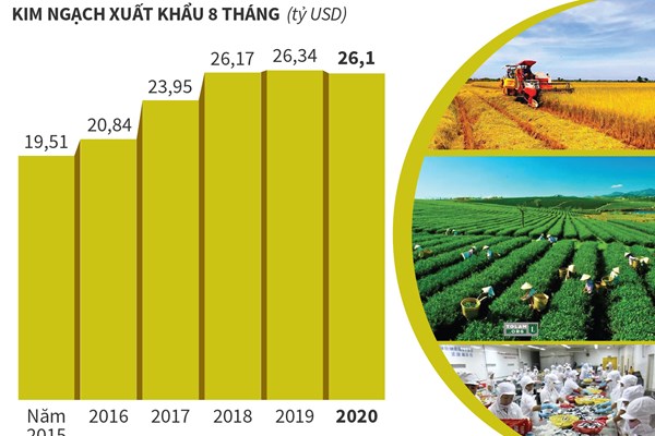 8 tháng năm 2020: Xuất khẩu nông, lâm, thủy sản ước đạt 26,1 tỷ USD