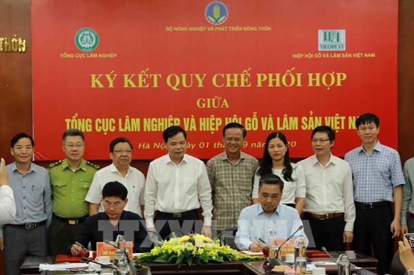 Ngăn chặn gian lận thương mại lâm sản