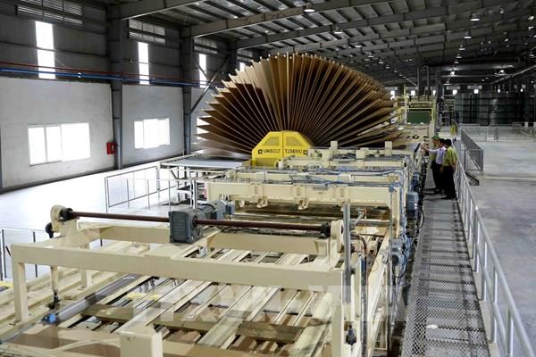 Quy định Hệ thống bảo đảm gỗ hợp pháp Việt Nam