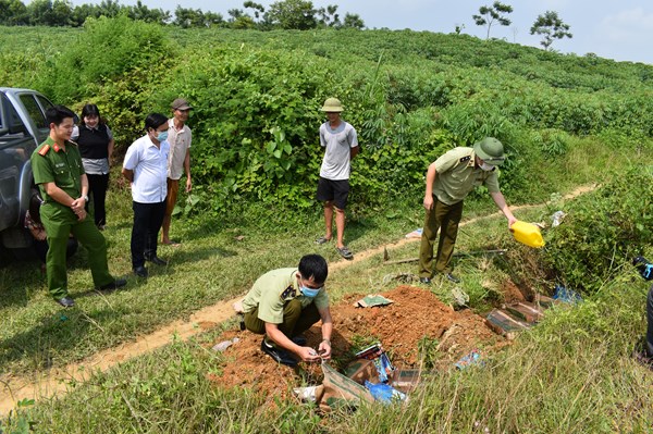 Tiêu hủy đồ chơi trẻ em và 300 kg chân vịt đông lạnh nhập lậu