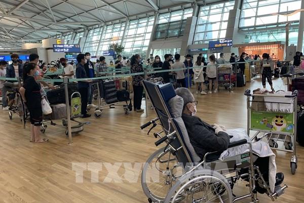 Đưa hơn 340 công dân Việt Nam từ châu Âu, châu Phi và Nam Mỹ về nước