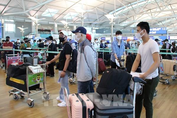 Đưa hơn 400 công dân Việt Nam từ Hàn Quốc về nước an toàn
