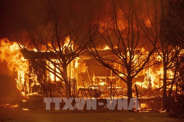 Mỹ: Bang California tuyên bố tình trạng khẩn cấp do cháy rừng