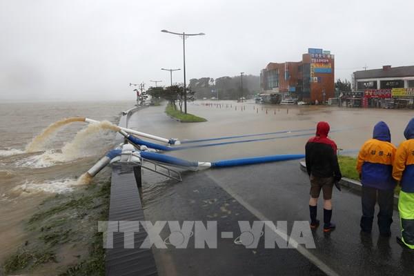 Bão Haishen khiến hai lò phản ứng hạt nhân ở Hàn Quốc dừng hoạt động 