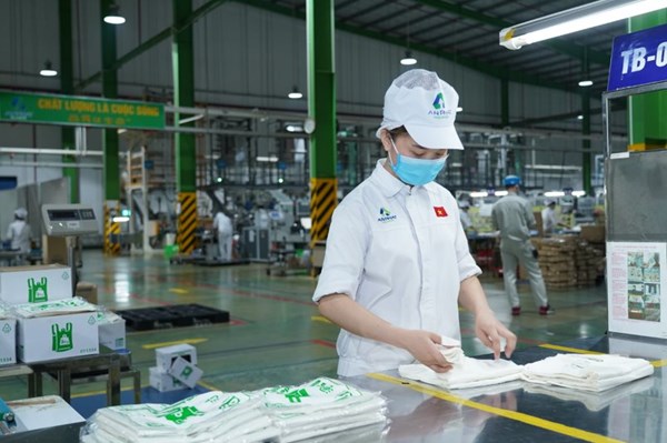 Nhựa An Phát Xanh trả cổ tức đợt 2