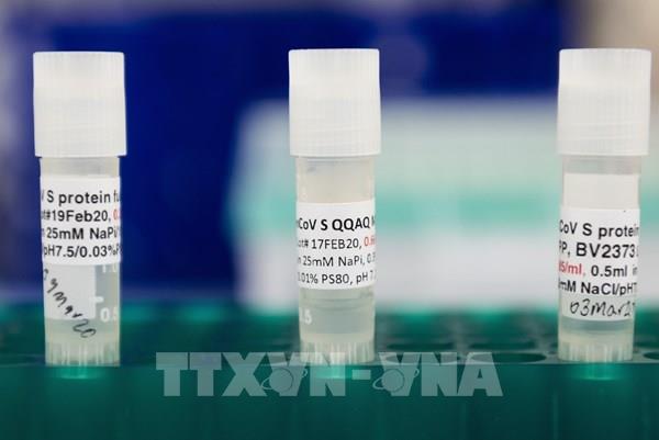 Các công ty dược cam kết không đốt cháy giai đoạn nghiên cứu vaccine phòng COVID-19