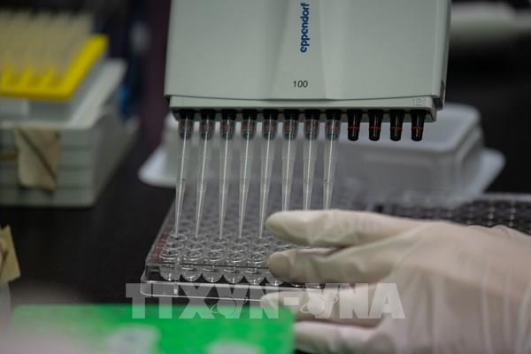 Hàn Quốc sản xuất đại trà kháng thể điều trị COVID-19 trong tháng 9