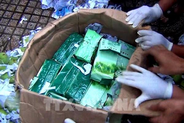  Triệt phá đường dây lớn vận chuyển trái phép ma túy từ nước ngoài vào Việt Nam