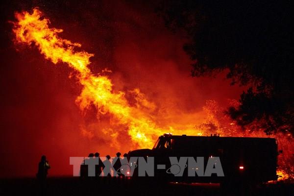 Mỹ: Tất cả rừng quốc gia ở California đã đóng cửa vì cháy