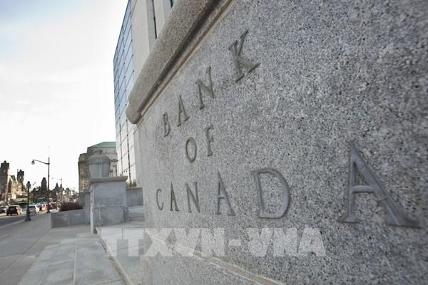 Canada duy trì lãi suất thấp kỷ lục