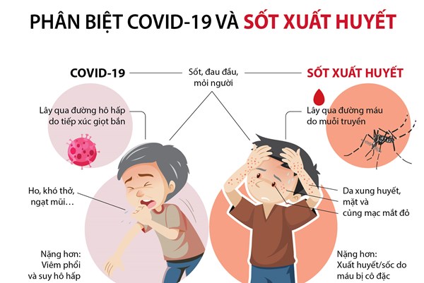 Phân biệt COVID-19 và sốt xuất huyết