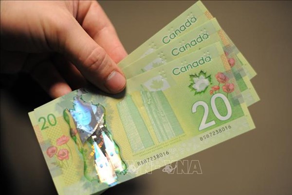 Chính phủ Canada hỗ trợ các doanh nhân da màu vượt "bão" COVID-19