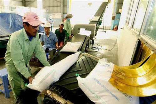 Thách thức ngắn hạn và triển vọng cổ phiếu ngành gạo
