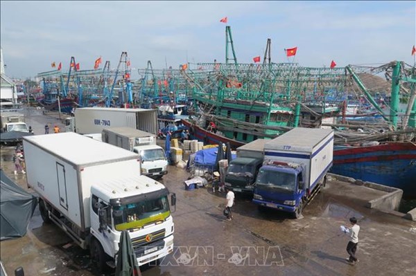 Bình Định hoàn tất điều kiện để thông báo mở cảng cá loại 2