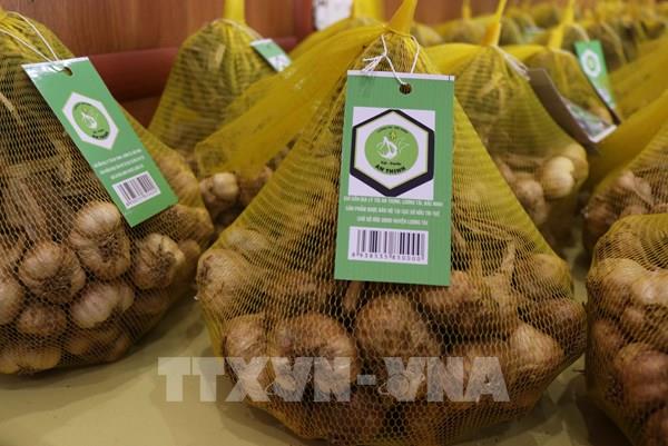 Tỏi An Thịnh (Bắc Ninh) được cấp chứng nhận chỉ dẫn địa lý