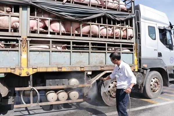 Nghiên cứu phản ánh liên quan đến vấn đề xuất khẩu thịt lợn