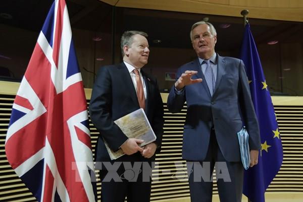 EU xem xét những biện pháp tiếp theo trong đàm phán Brexit