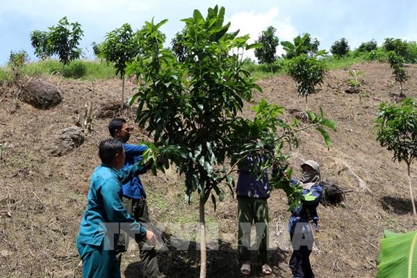 Nỗ lực giảm nghèo ở huyện vùng cao biên giới Nậm Nhùn
