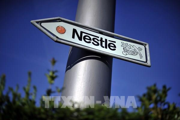 Nestle hỗ trợ các công ty khởi nghiệp phát triển sữa cho người ăn chay