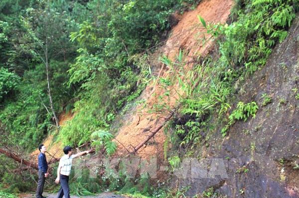 Dự báo thời tiết: Nam Trung Bộ ngày nắng, cao nhất 31-34 độ C