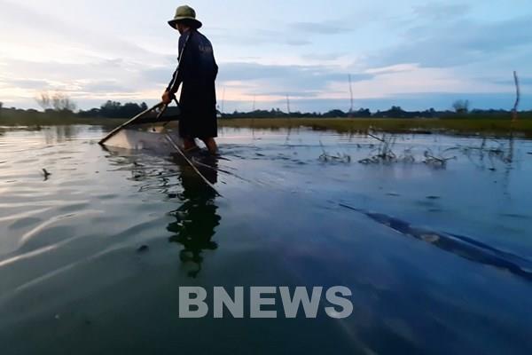 Thú vị nghề đẩy lưới xúc rận nước