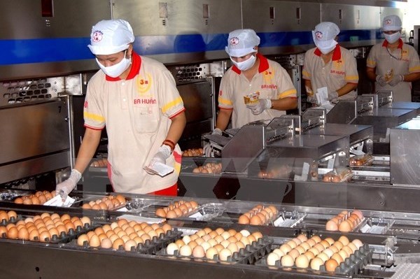 Quy định hạn ngạch thuế quan nhập khẩu thuốc lá nguyên liệu và trứng gia cầm