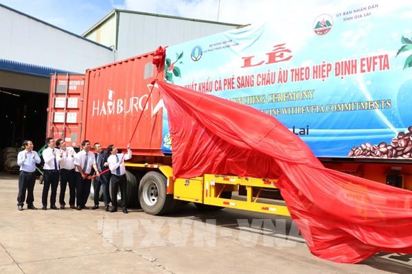 Gia Lai xuất khẩu lô cà phê đầu tiên sang châu Âu theo Hiệp định EVFTA