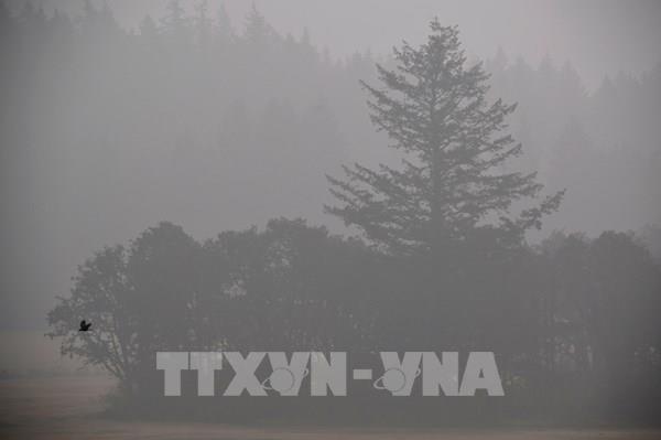 Argentina được viện trợ 82 triệu USD giúp giảm phát thải carbon