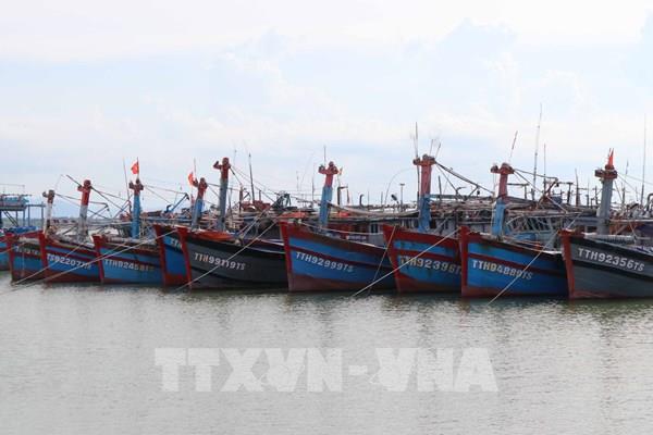 Công điện của Thủ tướng Chính phủ về việc ứng phó với bão số 5