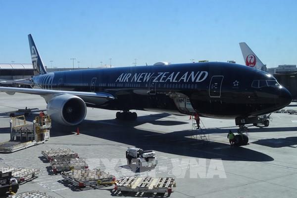 Air New Zealand đặt mục tiêu cắt giảm thêm lao động