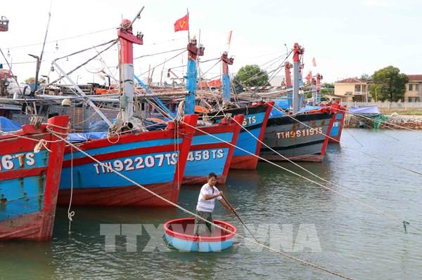 Quảng Bình cho học sinh nghỉ học để tránh bão số 5