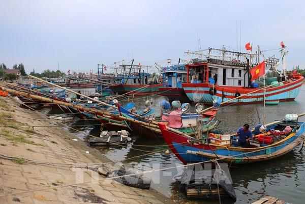 Cục Hàng hải Việt Nam lập 3 đoàn công tác ứng phó với cơn bão số 5