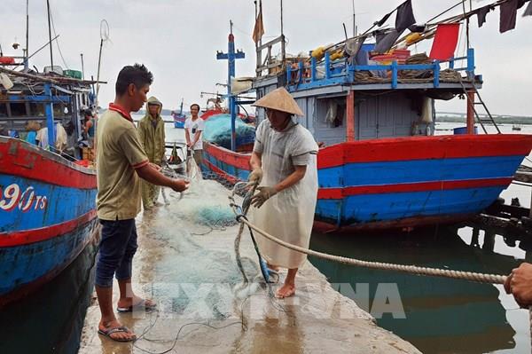 Ngư dân khó mua bảo hiểm cho tàu đánh cá xa bờ