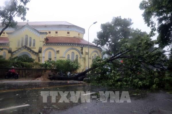 Bão số 5 đổ bộ vào đất liền gây mưa lớn, thiệt hại nhiều tài sản