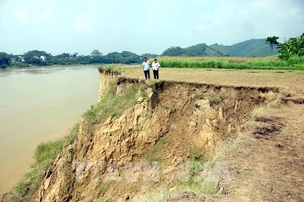 Sạt lở nghiêm trọng trên tuyến đê sông Lô qua tỉnh Tuyên Quang