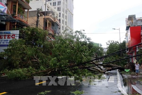 Chuyên gia: Đề phòng mưa lớn dồn dập trong các tháng 10 và 11/2021
