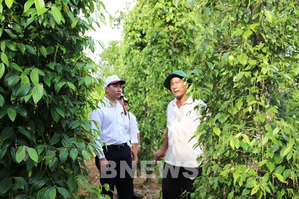 Mở rộng tín dụng tiêu dùng cho hộ nghèo đẩy lùi tín dụng đen