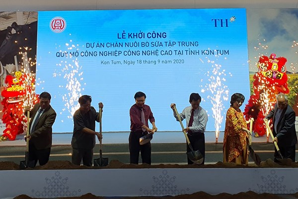 Khởi công Dự án chăn nuôi bò sữa tập trung lớn nhất Tây Nguyên