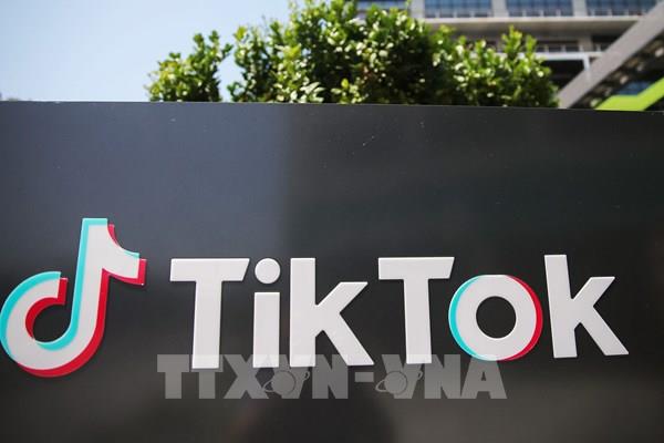 TikTok gỡ hơn 104 triệu video có nội dung bạo lực