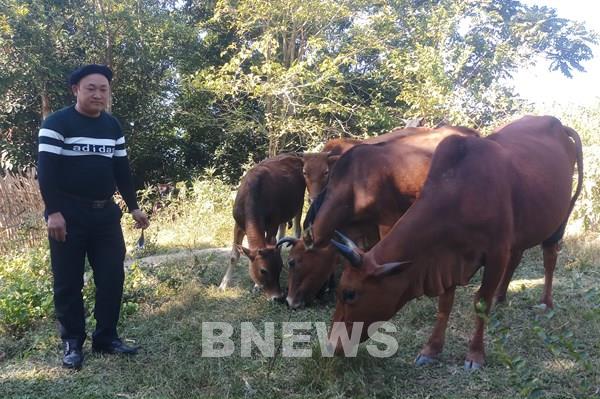 Trưởng bản nghèo vươn lên làm kinh tế giỏi